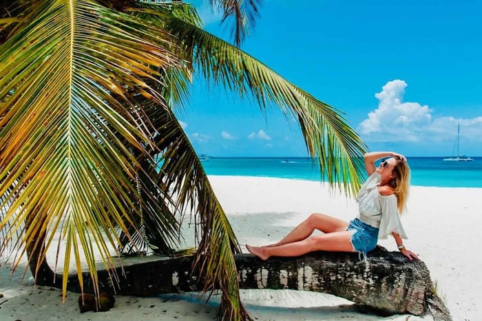 Excursie naar het eiland Saona: tropisch paradijs met lunch