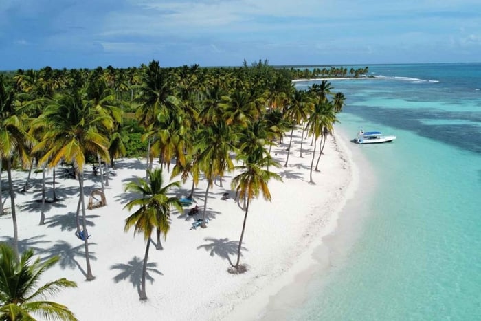 Fra La Romana: Saona Island for Aida Cruises-passasjerer