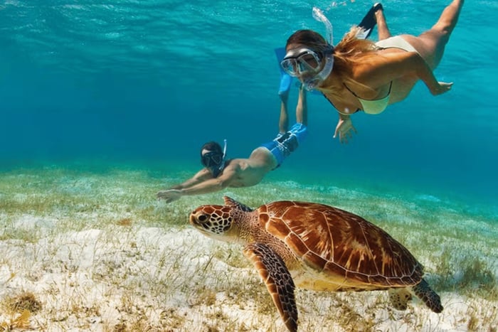 From Miches: Media Luna Natural Pool Snorkeling Tour