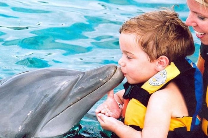 From Santo Domingo: Dolphin Explorer Tour with Lunch