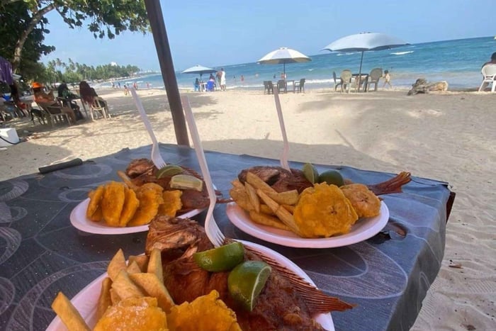 From Santo Domingo: Private Beach Day on the Dominican Coast