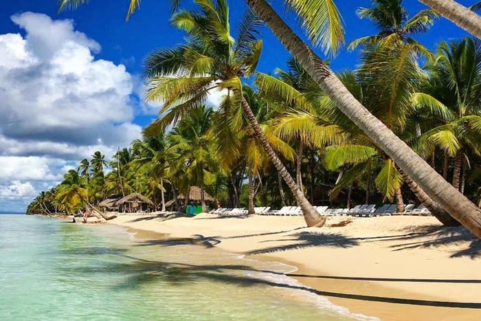 From Santo Domingo: Saona Island Catamaran and Speedboat …
