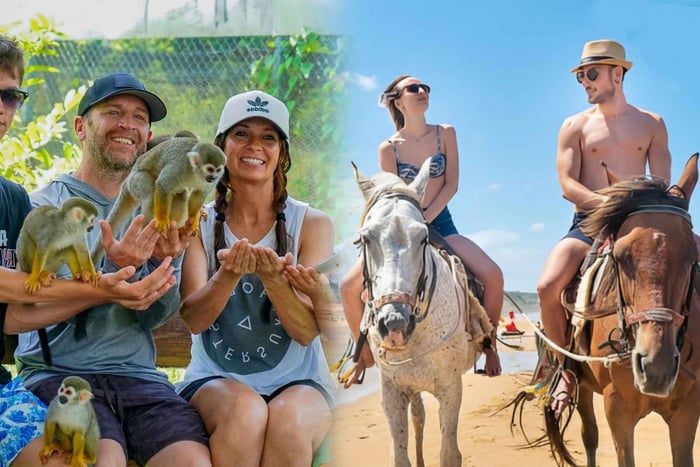 Passeio a Cavalo e Excursão à Ilha dos Macacos com Serviço de Busca em Puerto Plata