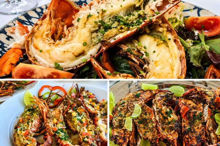 Los Haitises: Hakuna Matata with Lobster & Piña Colada