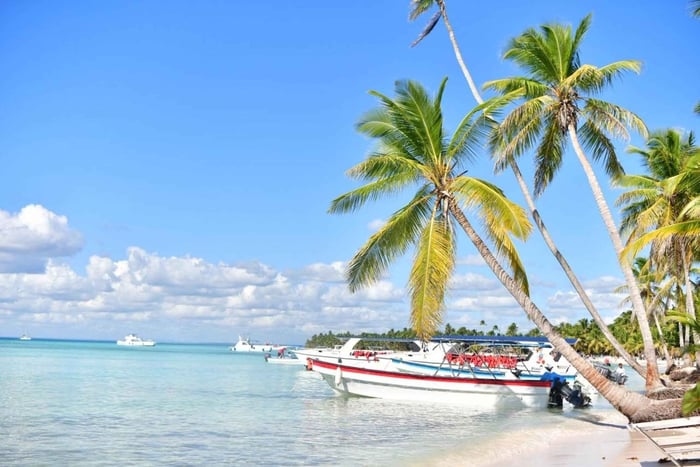 Miches: Saona Island och katamaranutflykt med privat transfer