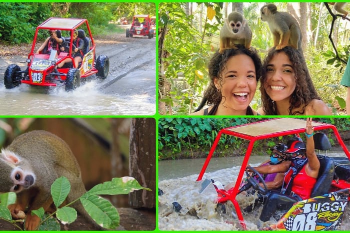 Monkey Land Plus Buggies in Puerto plata