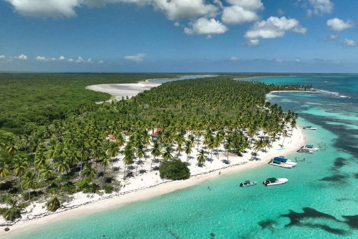 Rundtur till Isla Saona för passagerare på MSC Opera