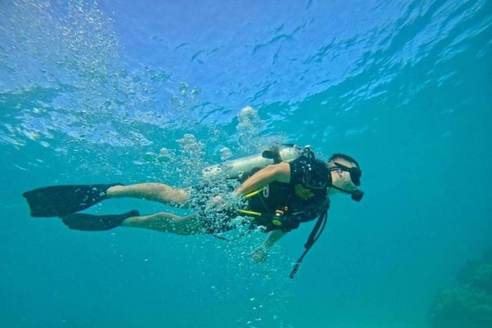 Private: Beginner Scuba Dive in Bávaro: 30-Minute Reef Dive