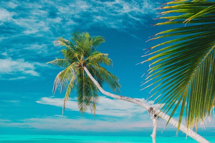 Private: Isla Saona VIP Escape Luxury Beach & Speedboat Tour