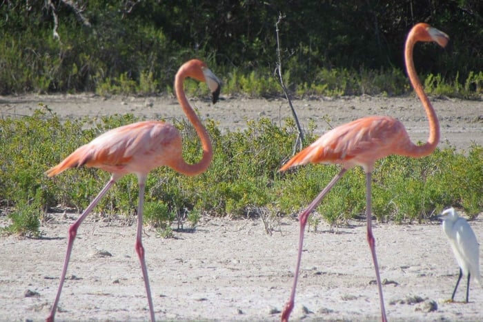 Particular: Aventura na natureza e vida selvagem na Lagoa Oviedo