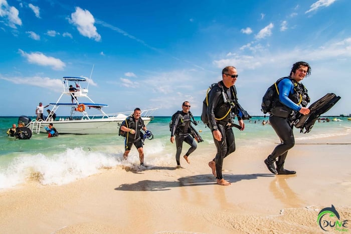 Private: PADI Open Water Course in La Romana (3 Days)