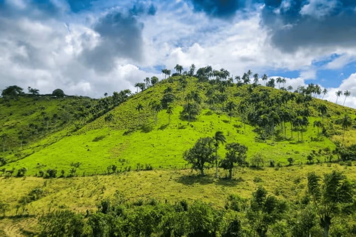 Experiencia privada de safari por el campo dominicano en Punta Cana