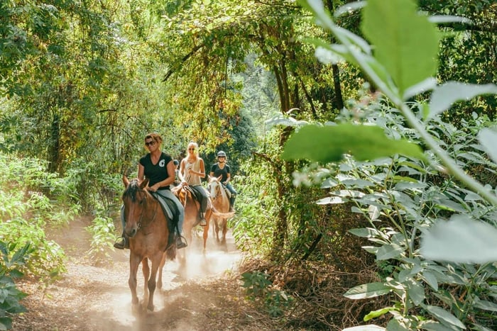 Privat: Punta Cana: Ridetur med solnedgang