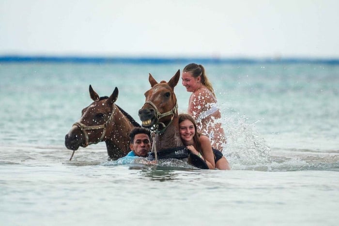 Privat: Ridtur på Macao Beach i Punta Cana med upphämtning
