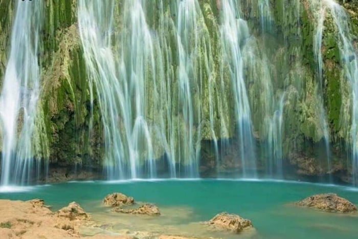 Privat: Punta Cana hvalsafari Bacardí Island Adventure