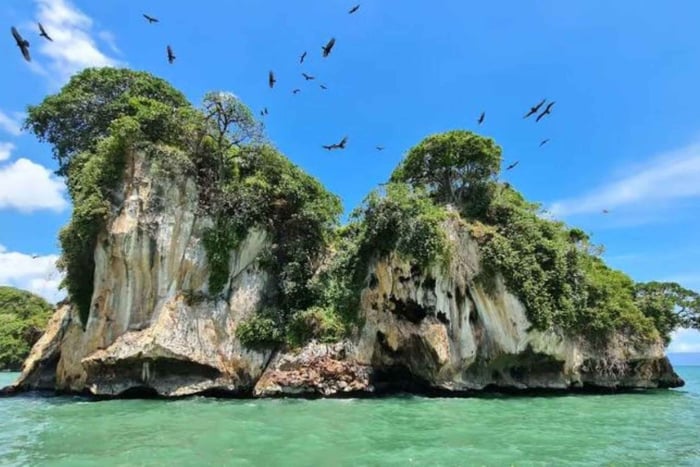 Private: Redonda Heights & Cayo Levantado Beach Day Trip