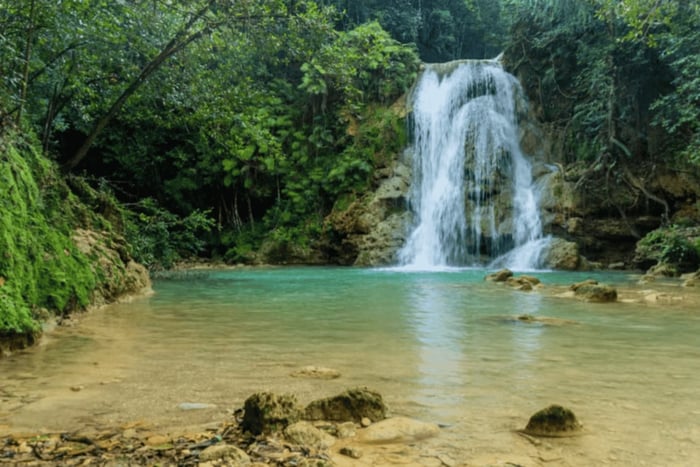 Private Waterfall Nature Hike in Samana Neighborhoods