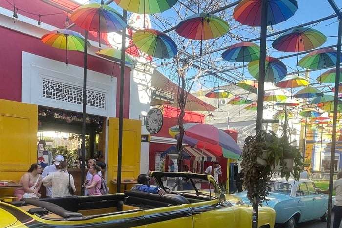 Puerto Plata: City Highlights Tour with Chocolate Tasting