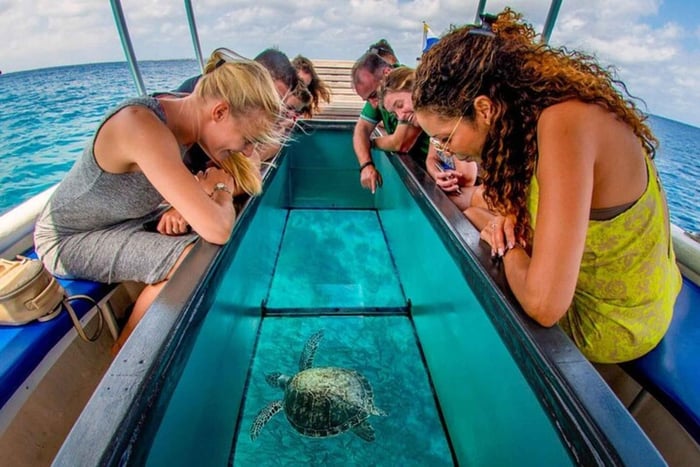 Puerto Plata: Tur med glassbunnbåt og snorkling