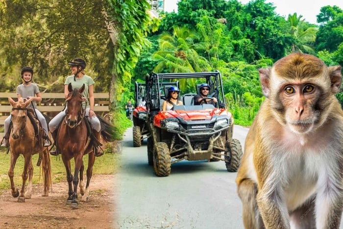 Puerto Plata: Quad-Fahrt im La Hacienda Park & Ausritt