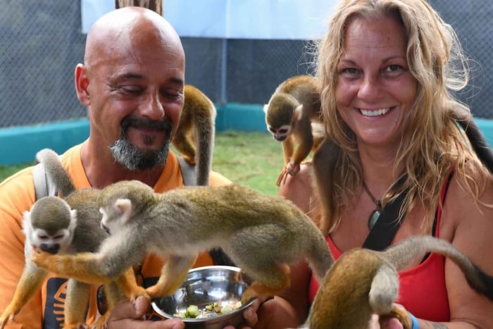 Puerto Plata: Monkey Home Sanctuary Tour with Pickup