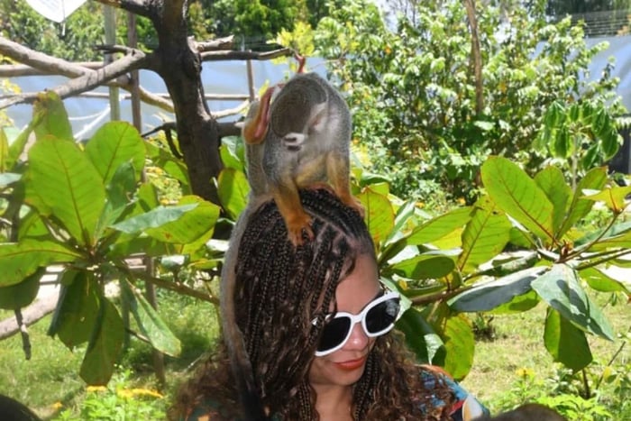Puerto Plata : visite des singes et aperçu des vaches et des cochons