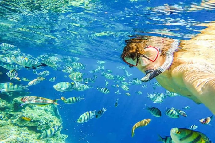 Puerto Plata: Sosúa Bay Snorkeling Tour with Guide