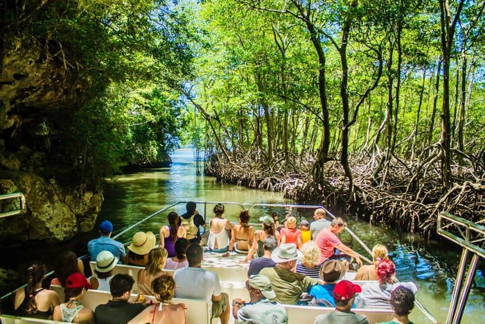 Punta Cana: 3-in-1 avontuur Haitises Park Waterval Montaña