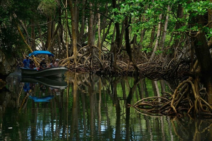 Punta Cana: Seikkailu Los Haitisesin kansallispuistossa ja Montaña Redondassa