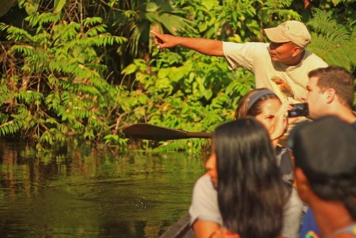 Punta Cana: passeio guiado a pé pelas montanhas de Anamuya
