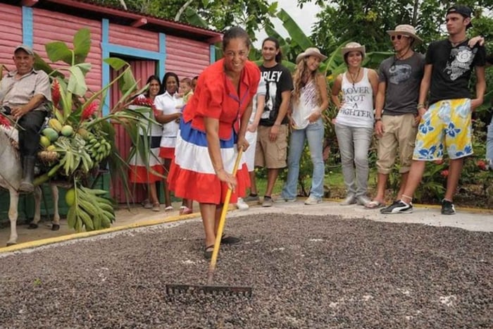 Punta Cana: Anamuya-safari, jossa on köysirata ja ratsastus