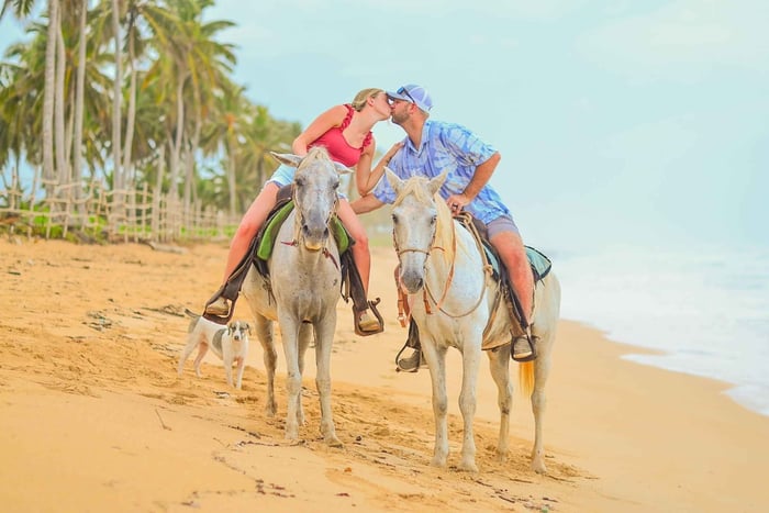 Punta Cana: Beach Sunset Horseback Riding with Hotel Pickup