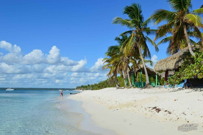 Punta Cana: tour con snorkeling o immersioni all'Isola Catalina – Pranzo