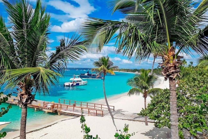Punta Cana : excursion de plongée avec tuba sur l'île Catalina avec déjeuner