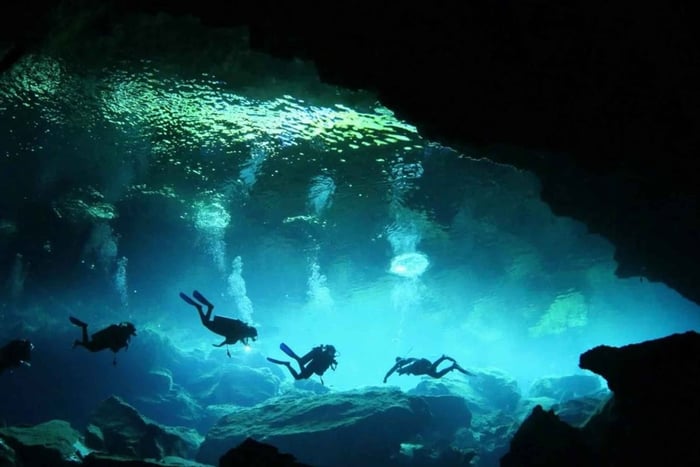 Punta Cana : expérience de plongée spéléologique dans deux sites de plongée uniques