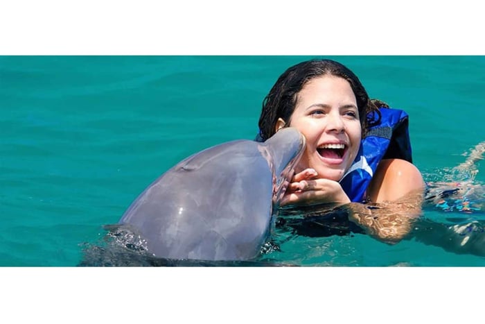 Punta Cana: Dolfijn Explorer Park Entree, Zwemmen of Ontmoeting
