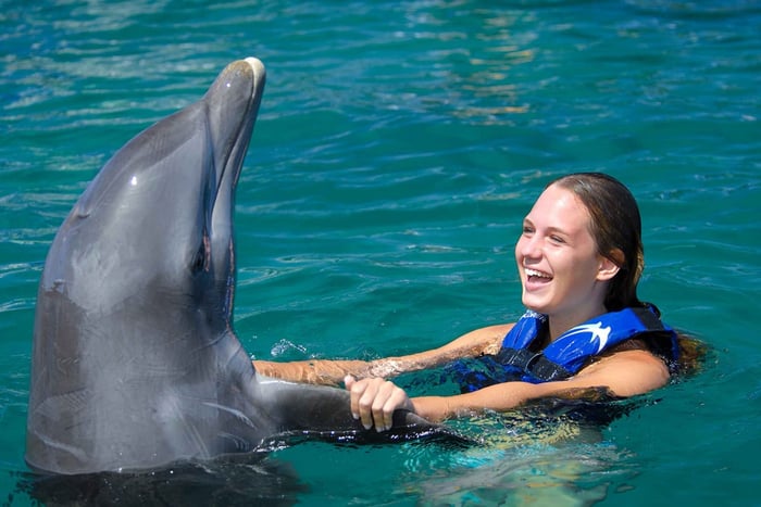 Punta Cana: Dolphin Explorer Swims and Interactions