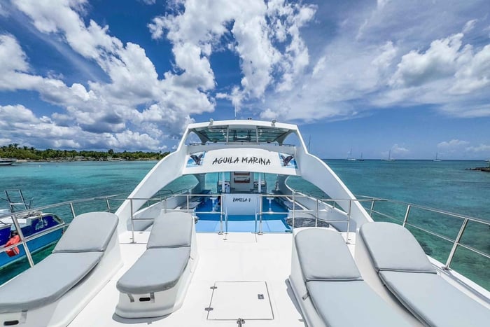 Punta Cana: Yksityinen katamaraanikierros Saonan saarelle – VIP-palvelu