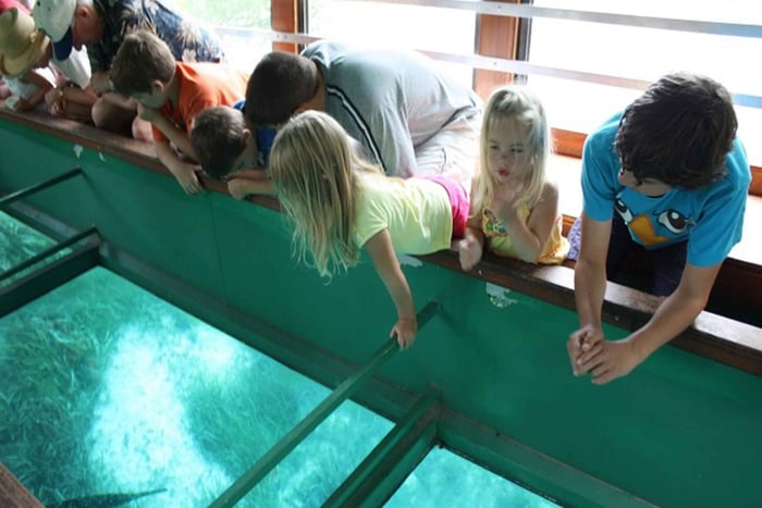 Punta Cana: aventura en barco con fondo de cristal y esnórquel