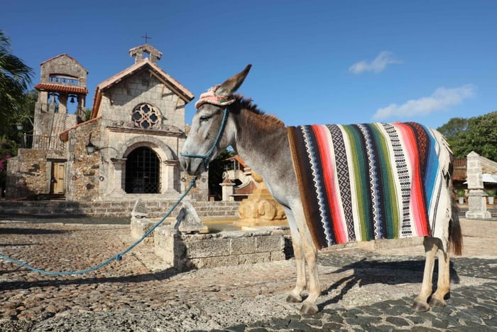 Punta Cana: Tour guiado a Altos de Chavón, Cuevas y Ron Barceló