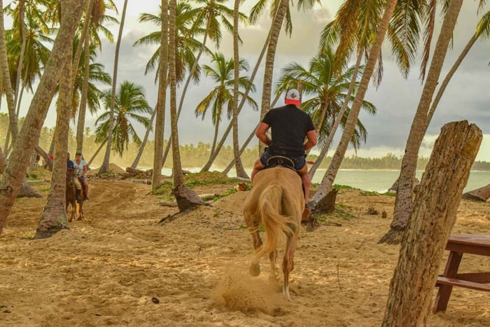 Punta Cana: Haitises, Montaña R. & Horse Ride Limón Beach