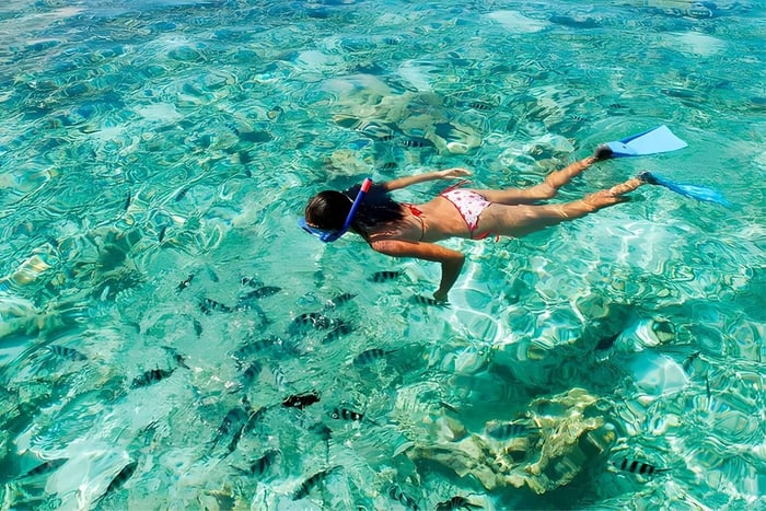 Punta Cana : balade équestre, plongée avec masque et tuba et croisière au coucher du soleil