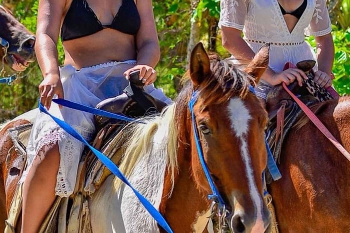 Punta Cana: Horseback Riding Tour. Connect with nature at a gallop.