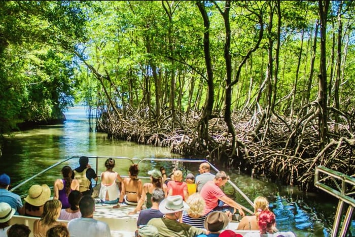 Punta Cana: Ganztagestour durch den Nationalpark Los Haitises