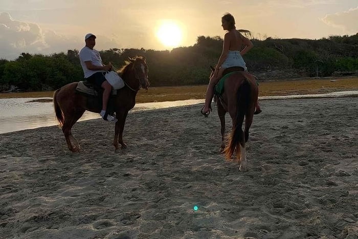 Depuis Punta Cana : promenade privée à cheval au coucher du soleil sur la plage de Macao