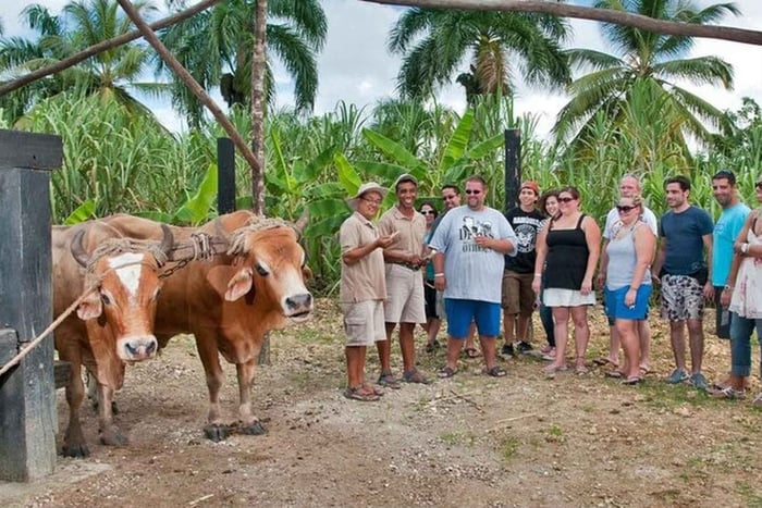 Safari Punta Cana : culture locale, nature, dégustations et plage de Macao