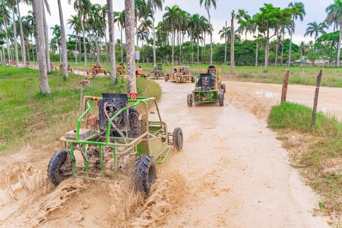 Punta Cana: Saona Eiland & Buggy Combo Avontuur