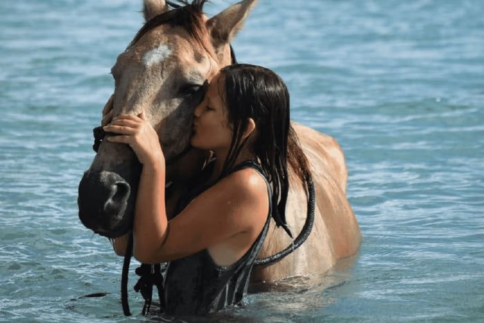 Punta Cana: Swim & Ride Horse on Caribbean Beach & Transport