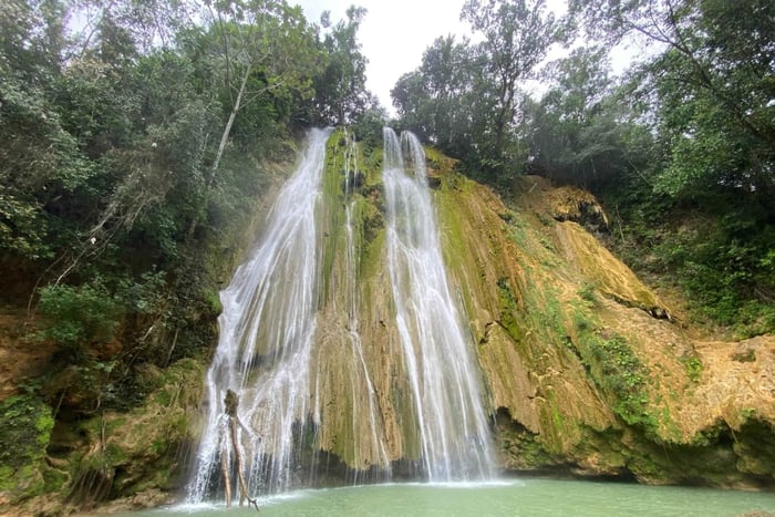 Samaná: El Limón Waterval Paardrijtocht