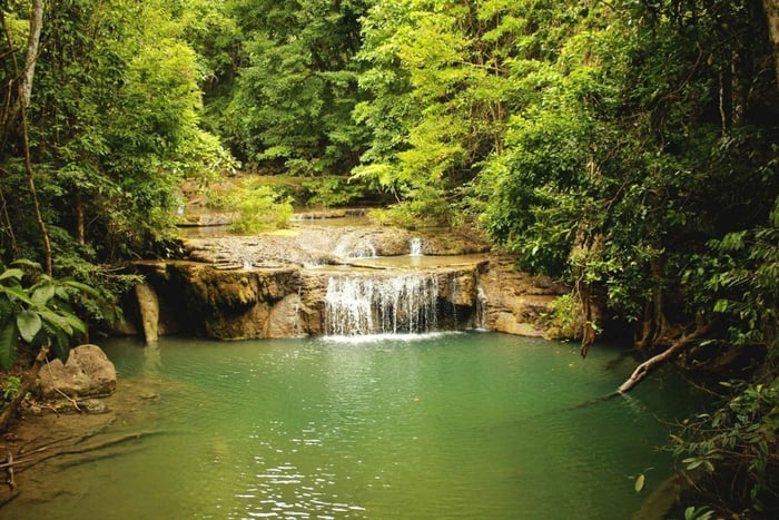 Samaná: Los Haitises Park & Yanigua Waterfall Private Tour